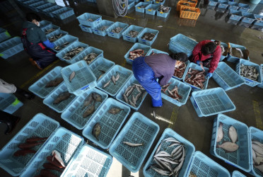 China to resume seafood imports from Japan