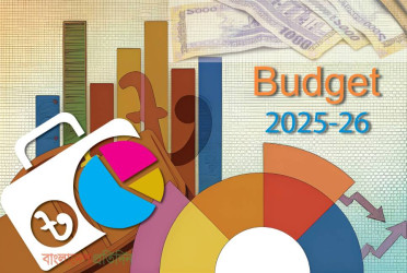 Agriculture sector gets Tk 17,000cr subsidy