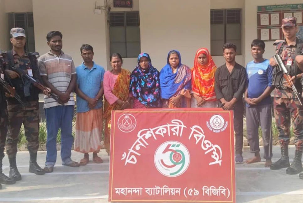 BSF pushes 8 people across Bholahat border into Chapainawabganj