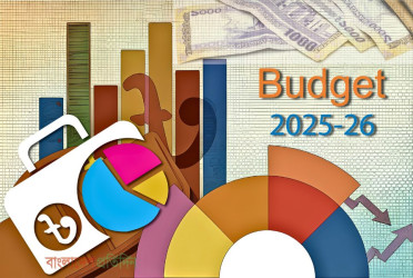 Tk 824 crore proposed for cultural sector