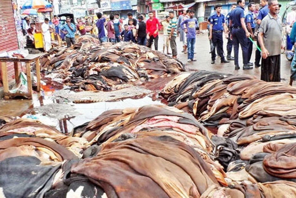 Cow rawhide price fixed ahead of Eid-ul-Azha