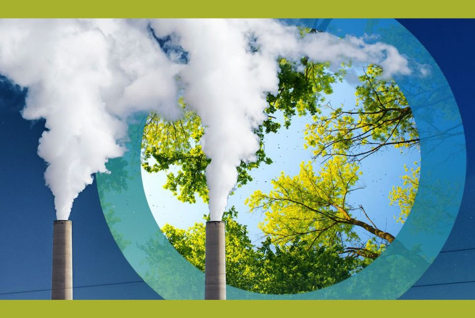 Greenhouse gases cut by almost half since 1990