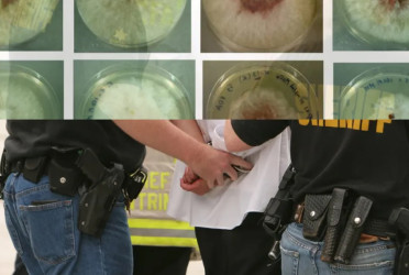 Chinese researchers arrested for smuggling deadly agro-fungus into US: Kash Patel