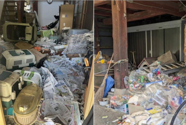 Around 100 dead cats found at Japan woman's home