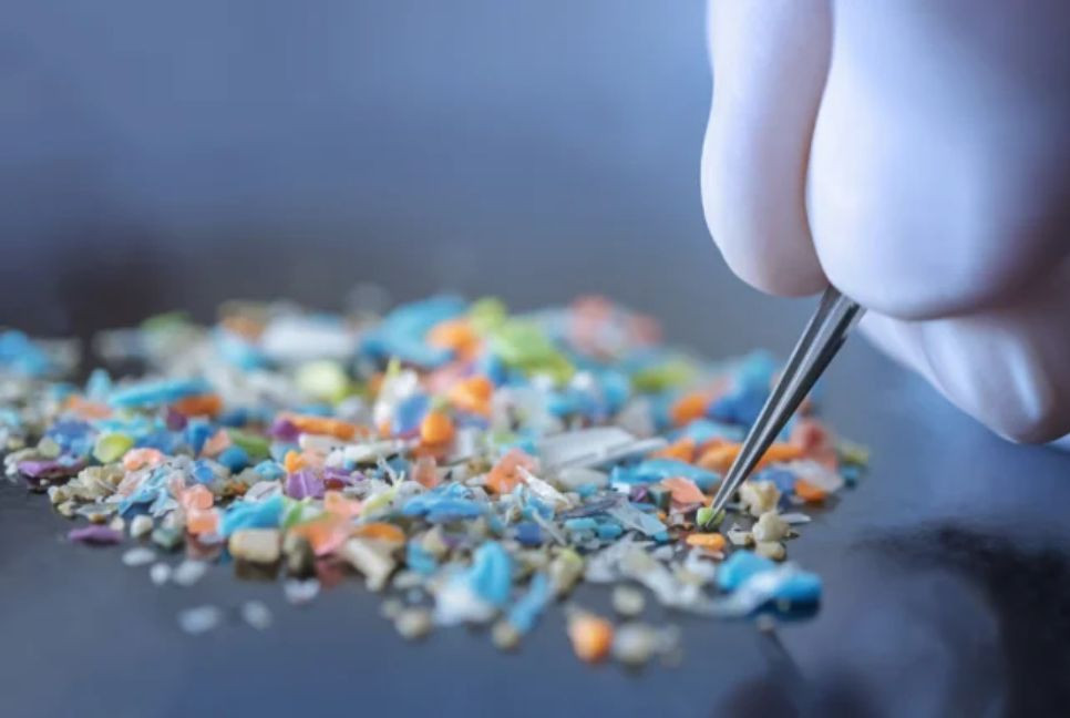 From plate to gut: The silent threat of microplastics