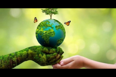 World Environment Day 2025 marked globally with urgent call to beat plastic pollution