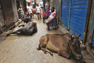 High demand for butchers delays Qurbani for many in Dhaka