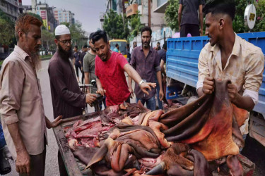 Rawhide market disappoints again as prices stay below Tk 1,000 despite govt hike