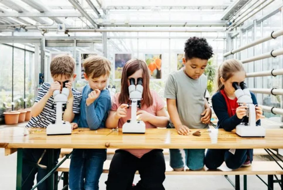 UK launches AI skills drive for workers and schoolchildren