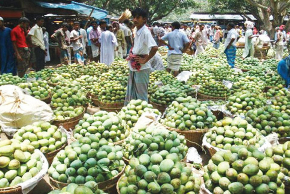 Mango trade picks up in Rajshahi after Eid break