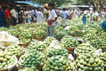 Mango trade picks up in Rajshahi after Eid break