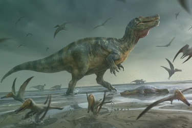 Newly discovered Dinosaur in Mongolia rewrites T. rex evolution