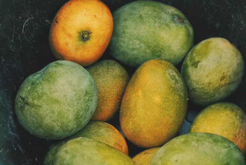 Digital sales of Rajshahi mangoes soar on youth initiative