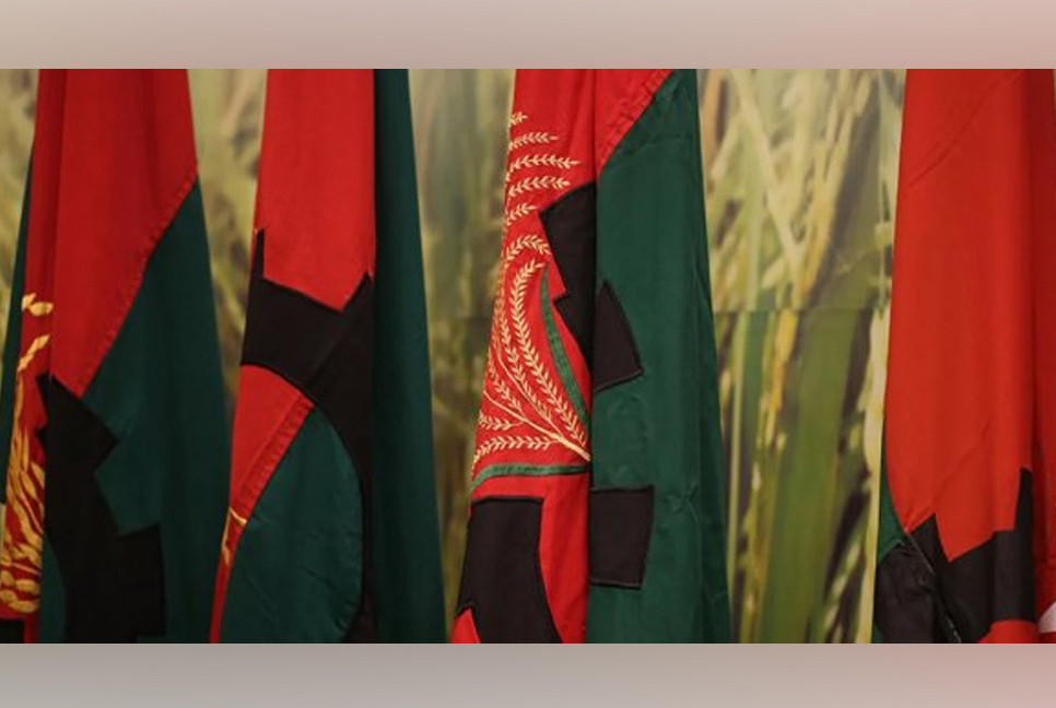 Positive decision on elections brings relief to people: Nationalist Like-Minded Alliance