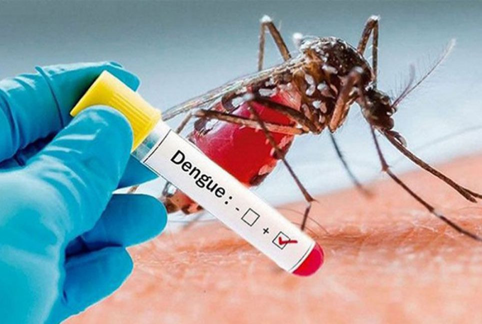 Dengue claims one life, 169 hospitalised in 24hrs