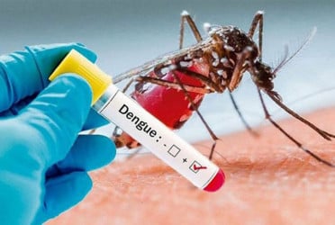 Dengue claims one life, 169 hospitalised in 24hrs