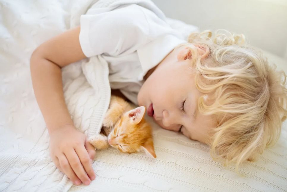Sleeping with pets may harm sleep quality, say experts