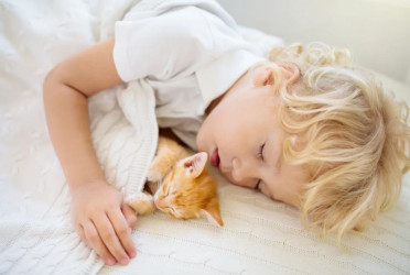 Sleeping with pets may harm sleep quality, say experts