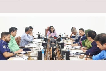 ‘Govt to formulate concrete action plan to protect the Sundarbans’