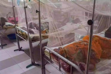 One dies of dengue, 352 new cases reported in 24hrs