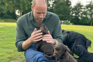 Prince William celebrates birthday with puppy photo