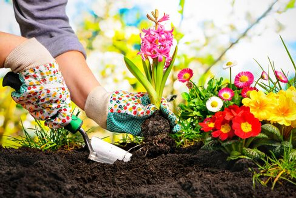 Why gardening is perfect therapy for your body, brain