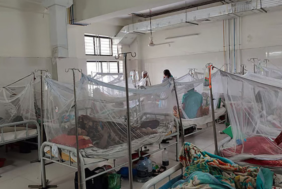 Dengue cases hit highest in a day