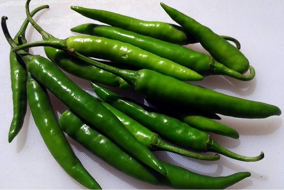 Green chilli may help reduce fat accumulation in body