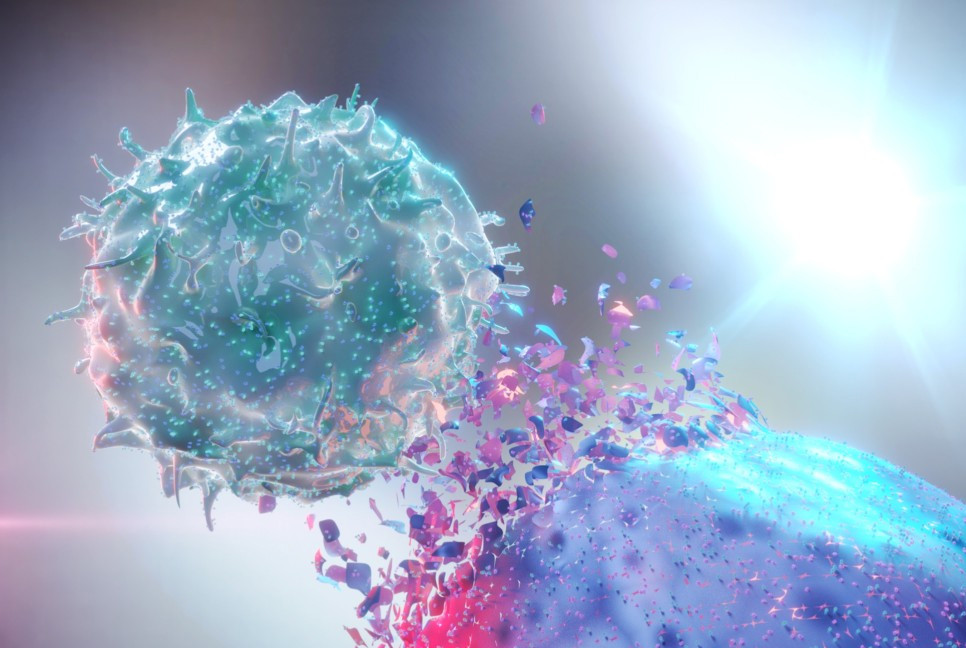 Chinese scientists unveil new anti-tumour immune mechanism