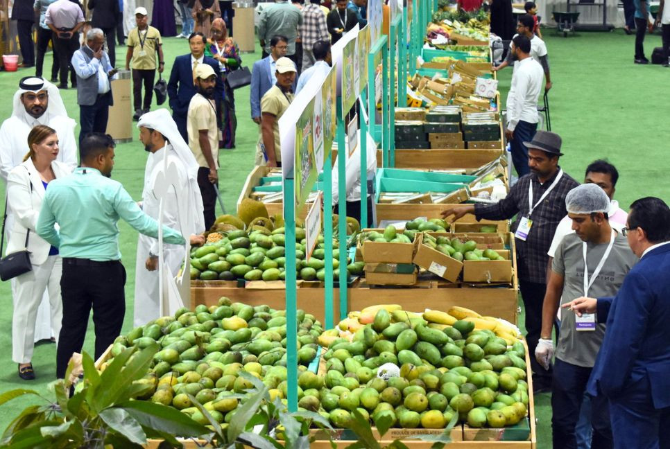 First Bangladeshi Mango Festival begins in Qatar