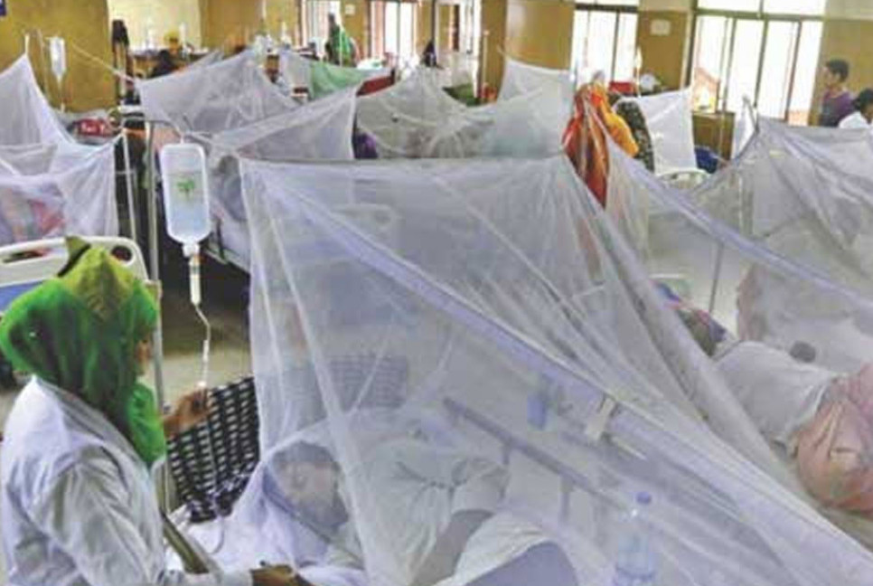 Two more die from dengue in 24 hours