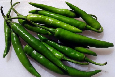 Green chilli may help reduce fat accumulation in body