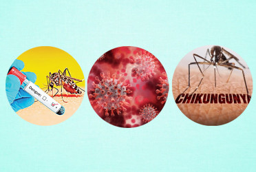 Triple threat: Dengue, Chikungunya, Covid-19 surge across country
