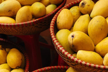 Surprising health benefits of mangoes