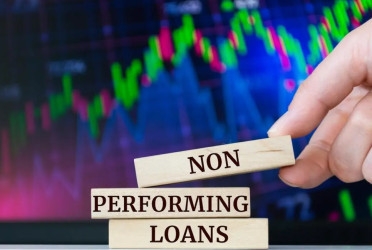 Soaring NPLs trigger credit crunch, shake business confidence
