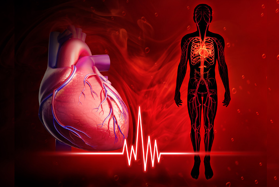 Cardiologist warns: Stress, lifestyle boosting heart risks in 30s & 40s