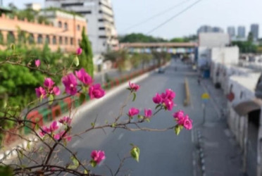Dhaka’s air quality remains moderate