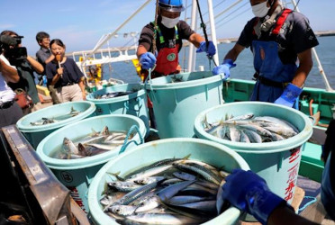 China partially lifts ban on Japanese seafood imports after Fukushima concerns