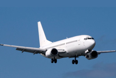 Snakes found on India-bound flight again