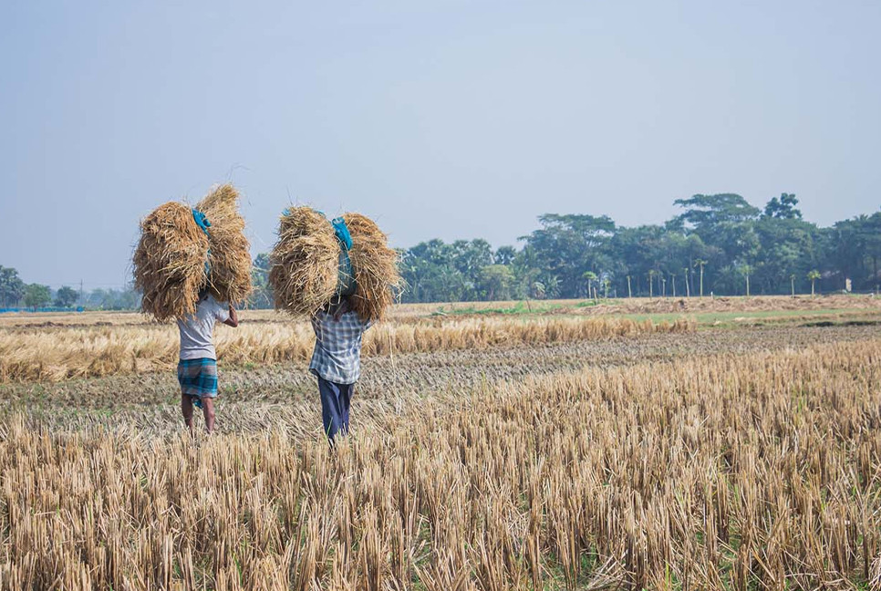 Over half of farmland fails sustainability standards