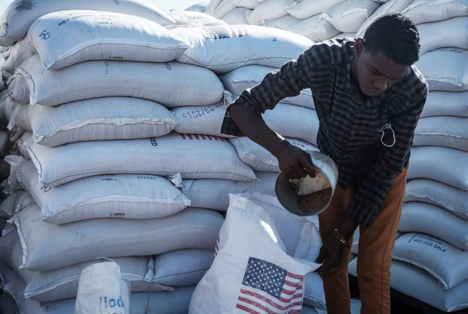 Over 14 million people could die from US foreign aid cuts