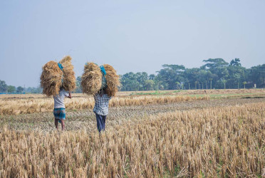 Over half of farmland fails sustainability standards