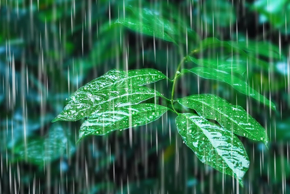 Moderately heavy to heavy rain fall including Dhaka:BMD