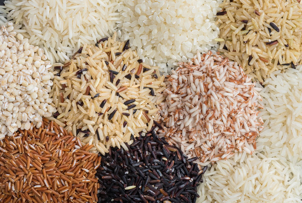 Human chain in Ctg demands action to curb rice price hike