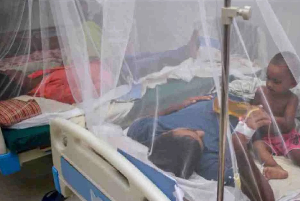 Dengue: 1 dies, 358 hospitalized in 24hrs