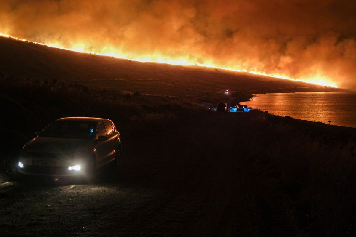 Turkiye brings 621 of 624 wildfires under control in just 1 week