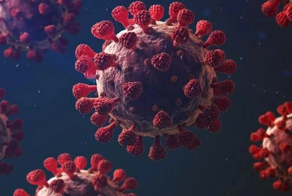 Six new COVID-19 cases reported in 24 hours
