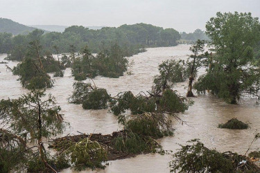 Texas floods kill 24, up to 25 children missing from summer camp