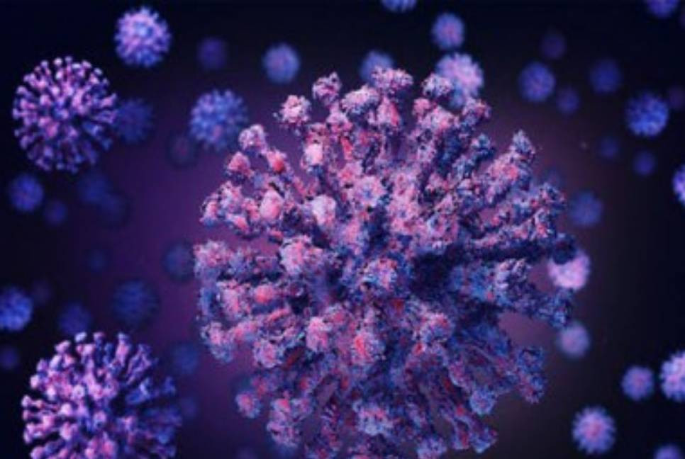 Three new COVID cases reported in country