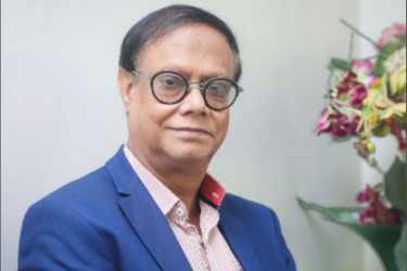 Banking sector reform impossible without political change: BB governor
